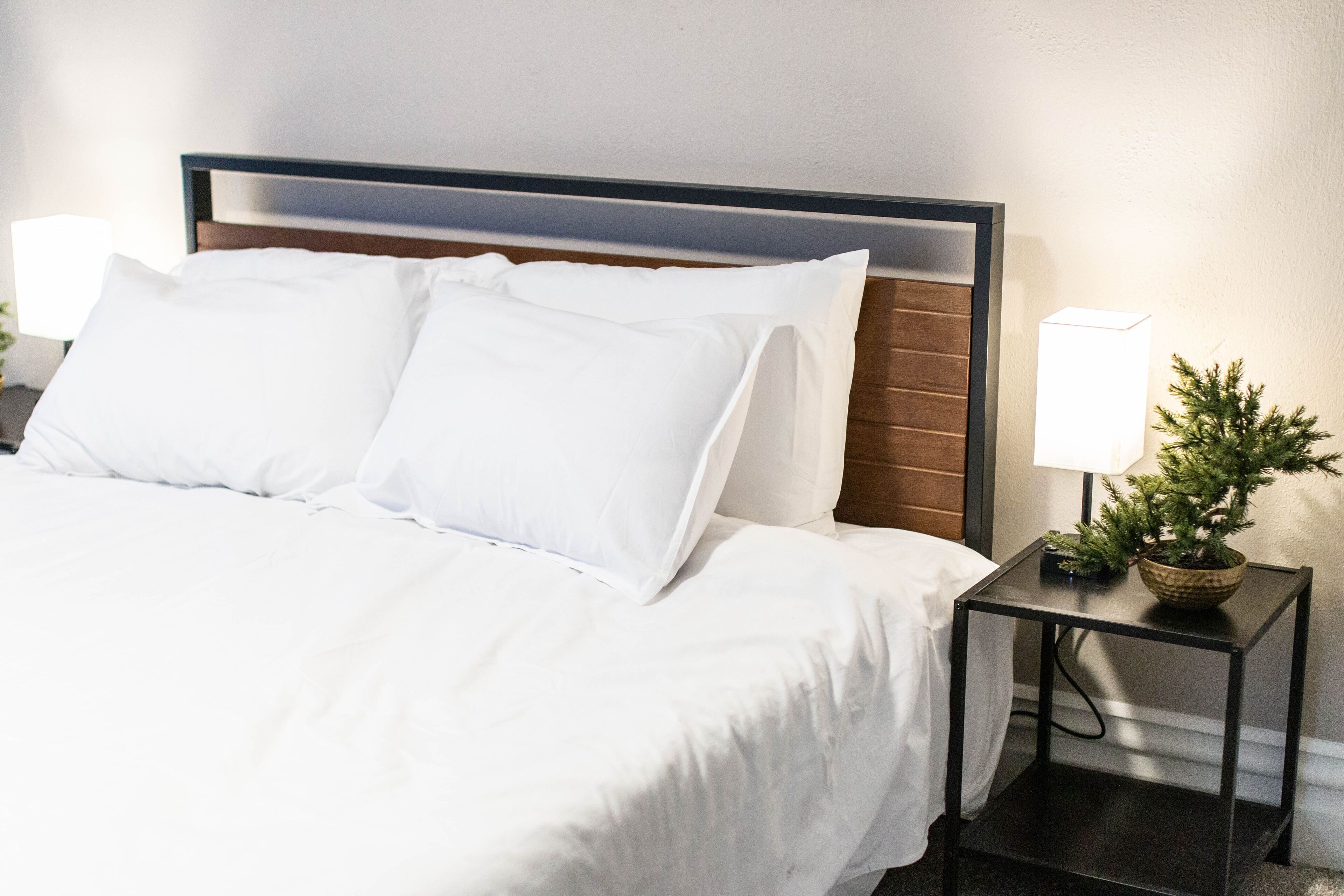 Beautiful Modern Downtown Kalamazoo Home- next to WMU and K College!