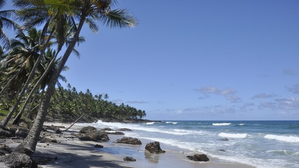 A beach with palm trees, rocks, and ocean waves. - Recanto dos Dendês Chalés - Chalé Sol - Praia do Sargi, Serra Grande, Uruçuca. (Uruçuca)