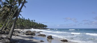 Dendês Corner Chalets-Chalet Sol-Sargi Beach, Serra Grande, Uruçuca.