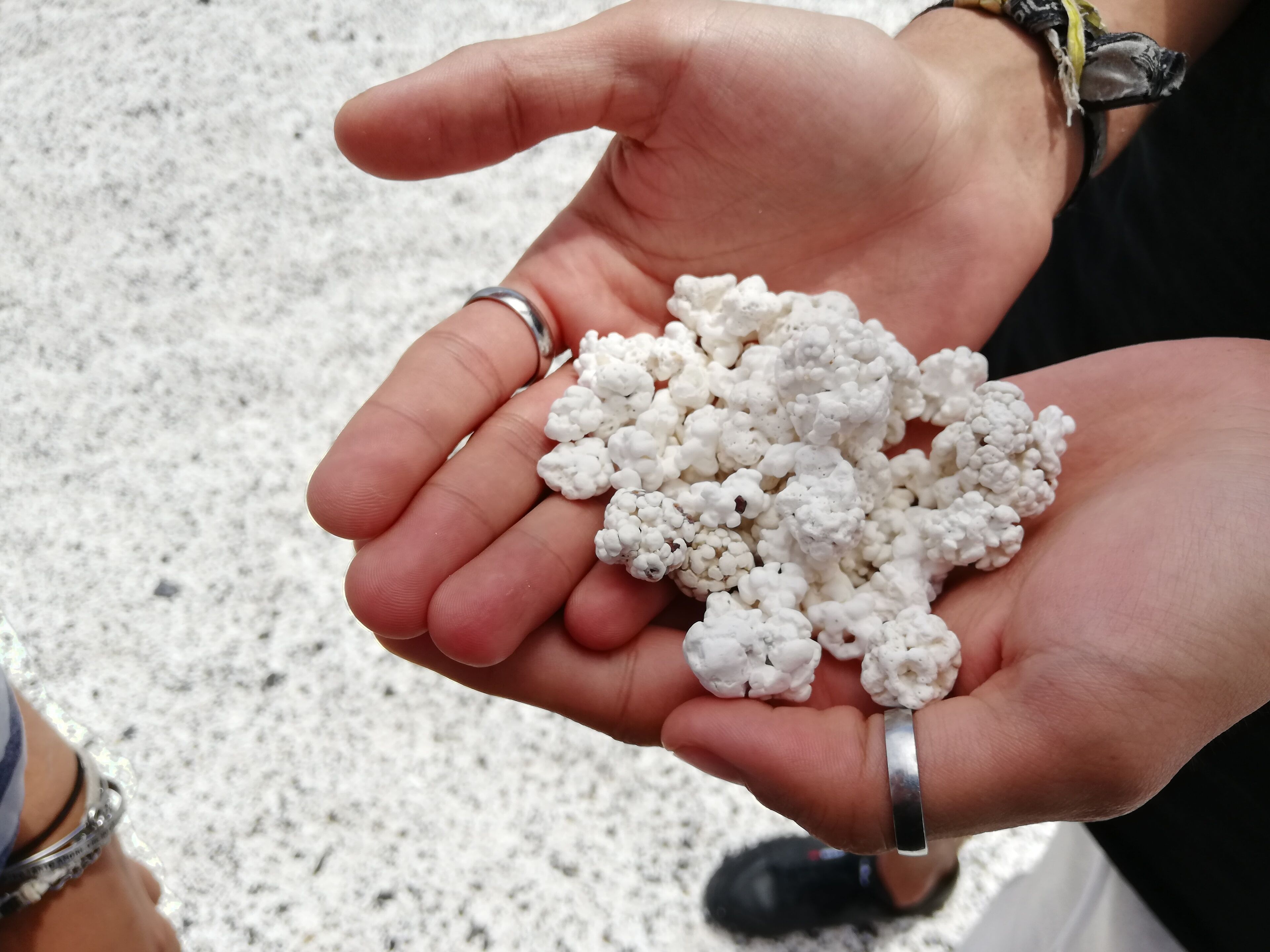 A hand holding popcorn.