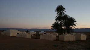A desert landscape with several large, beige tents arranged in a row, with palm trees and mountains in the background. - Zagora Desert Camp (Errouha)