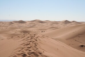 Recorridos en segway