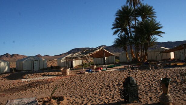A desert landscape with tents numbered 6, 9, 10, and 11, palm trees, and a clear blue sky. - Zagora Desert Camp (Errouha)