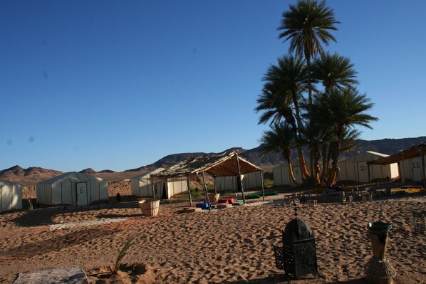 Exterior - Zagora Desert Camp (Errouha)