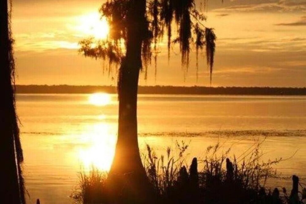 Bring your Boat to our River House and enjoy the beautiful St Johns River.