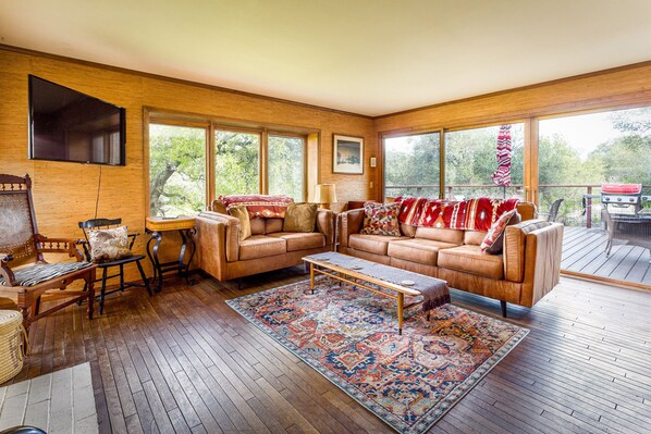 تلفزيون ذكي، مدفأة، كُتُب، مكتبة موسيقى