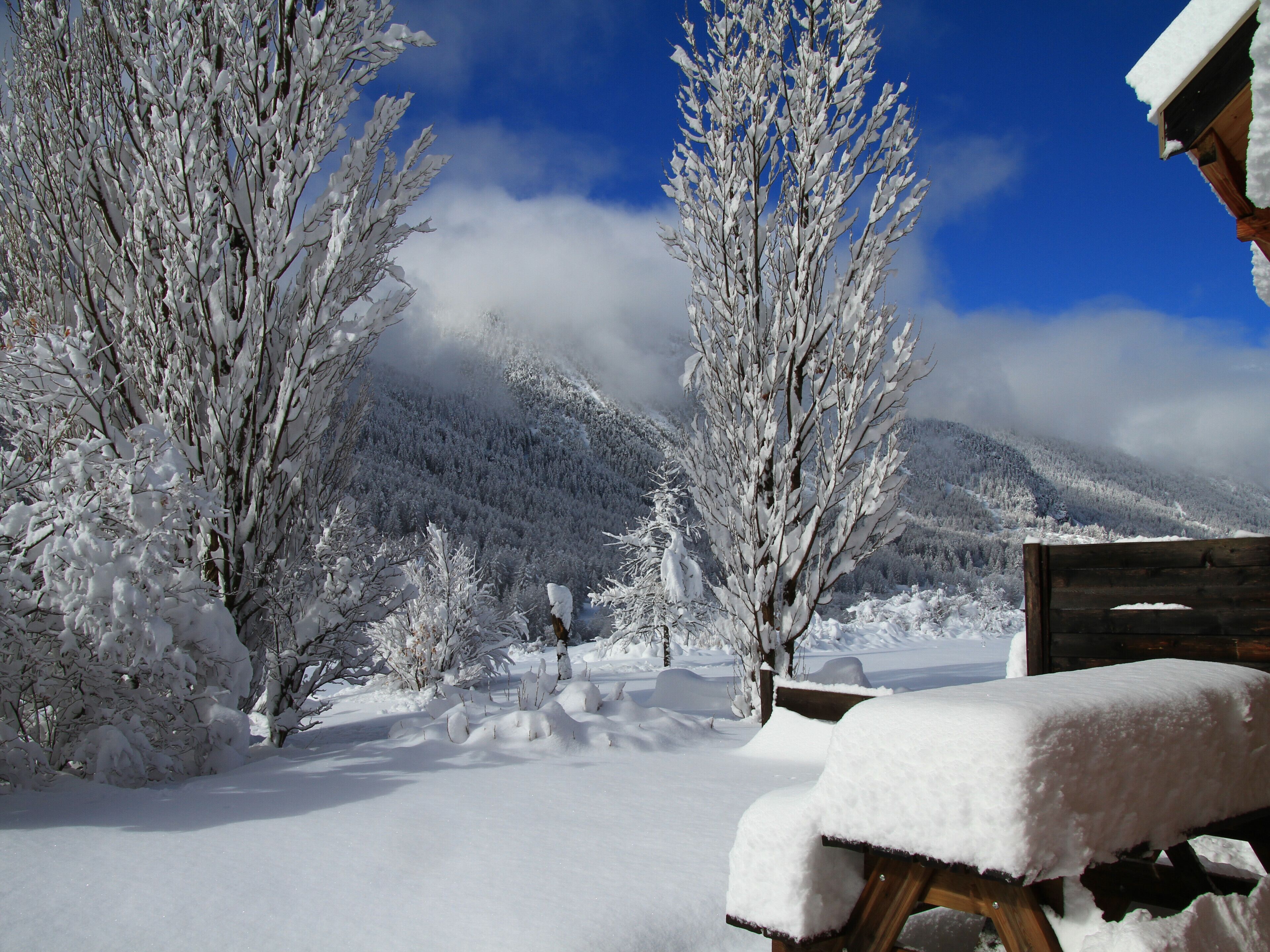 A snow-covered landscape with trees and a wooden bench.