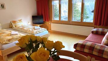 A cozy room with a bed, a sofa, and a TV. There are windows with curtains and a view of trees outside.
