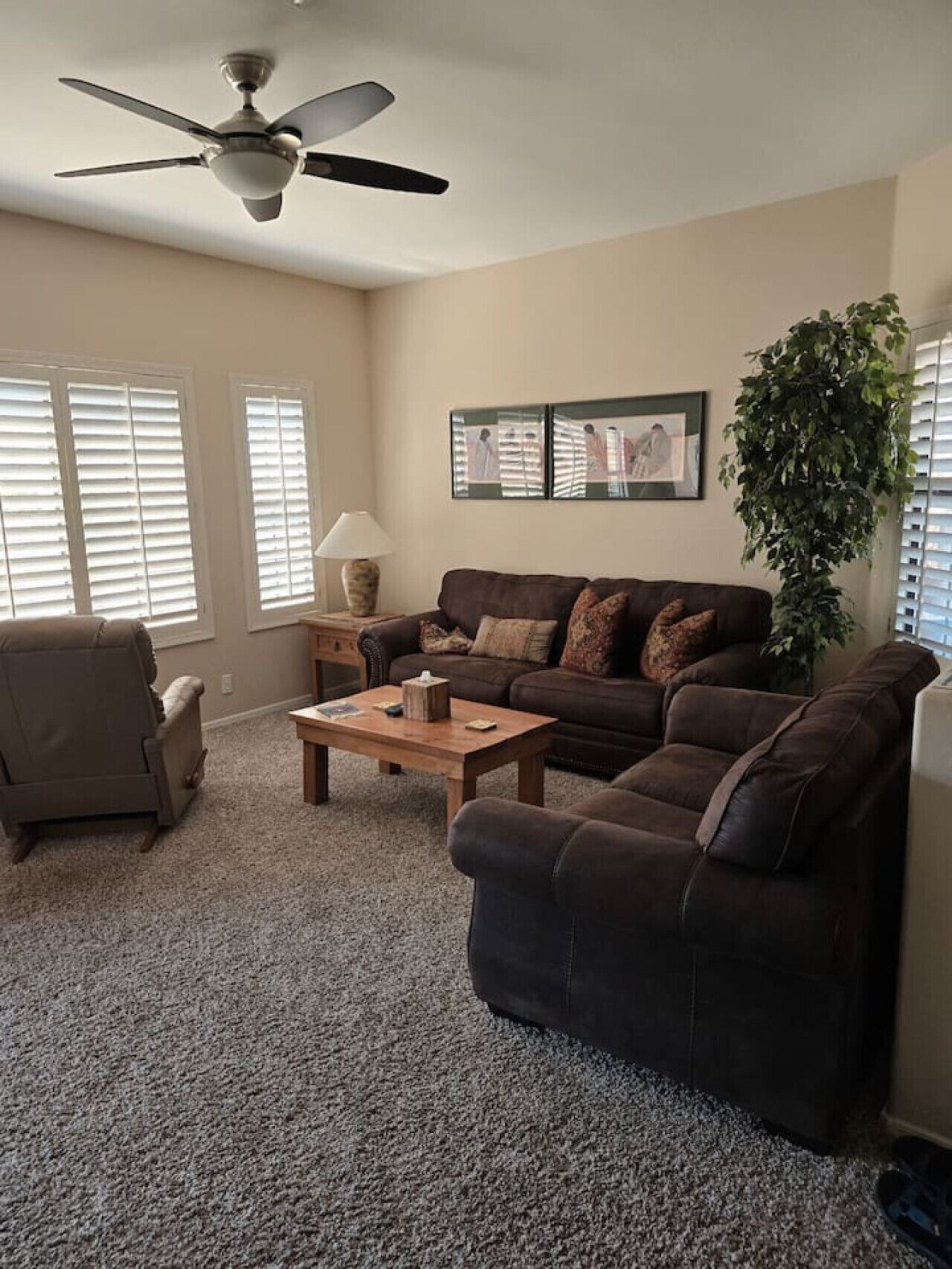 A living room with a ceiling fan, a brown leather sofa, a wooden coffee table, and a large green plant.