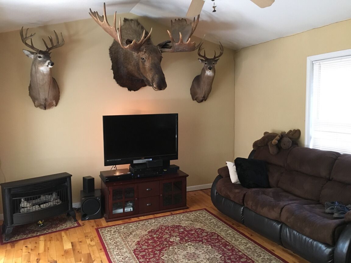 Cozy But Yet So Convient 3Bed 2Bath