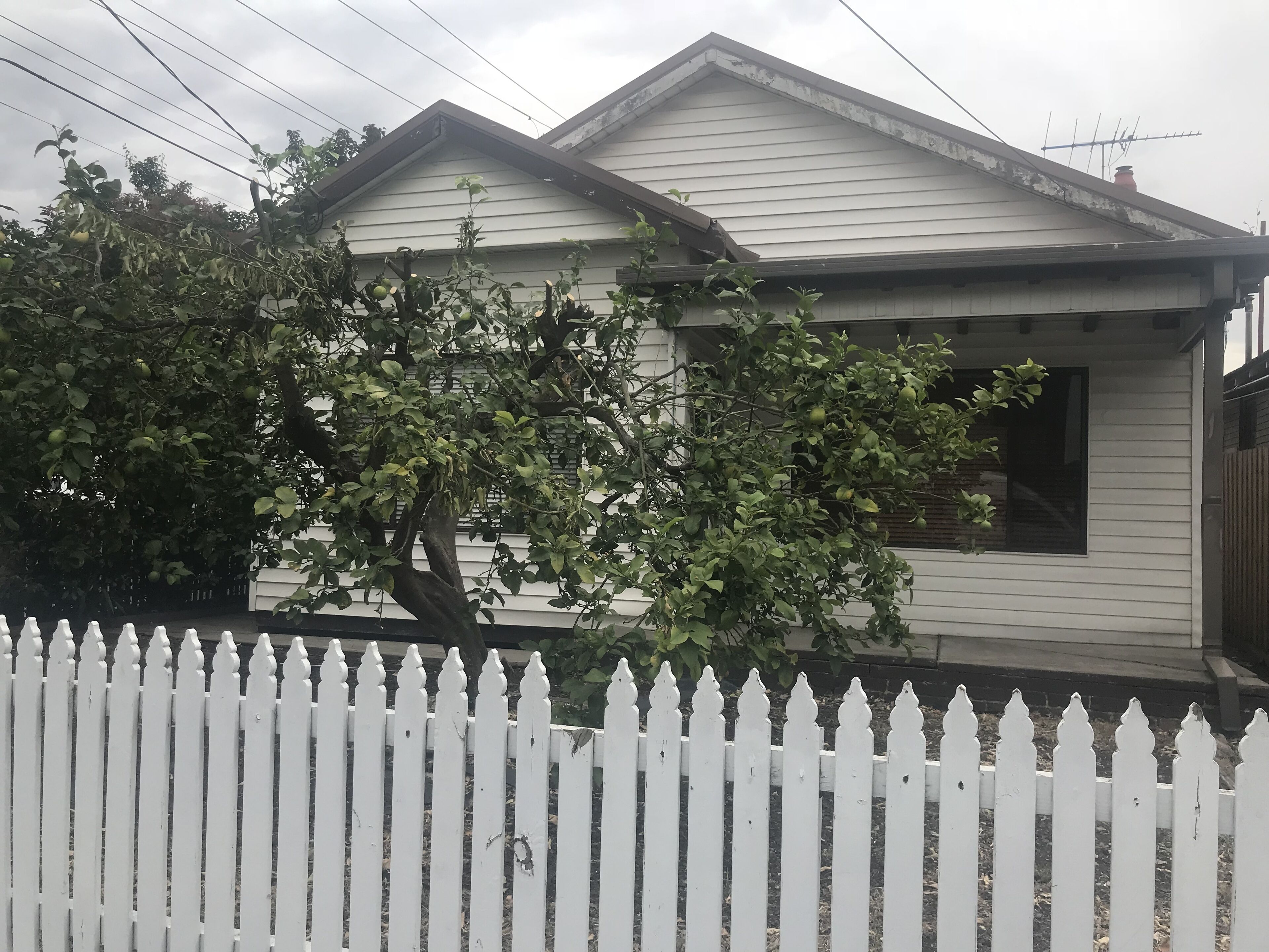 D103 Lemon Tree House- amazing — image 22