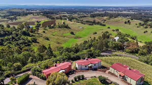 A rural landscape with rolling hills, vineyards, and a few buildings with red roofs.