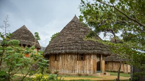 Thatched-roof huts with wooden walls, surrounded by greenery. - Sipi Falls lodge (Sipi)