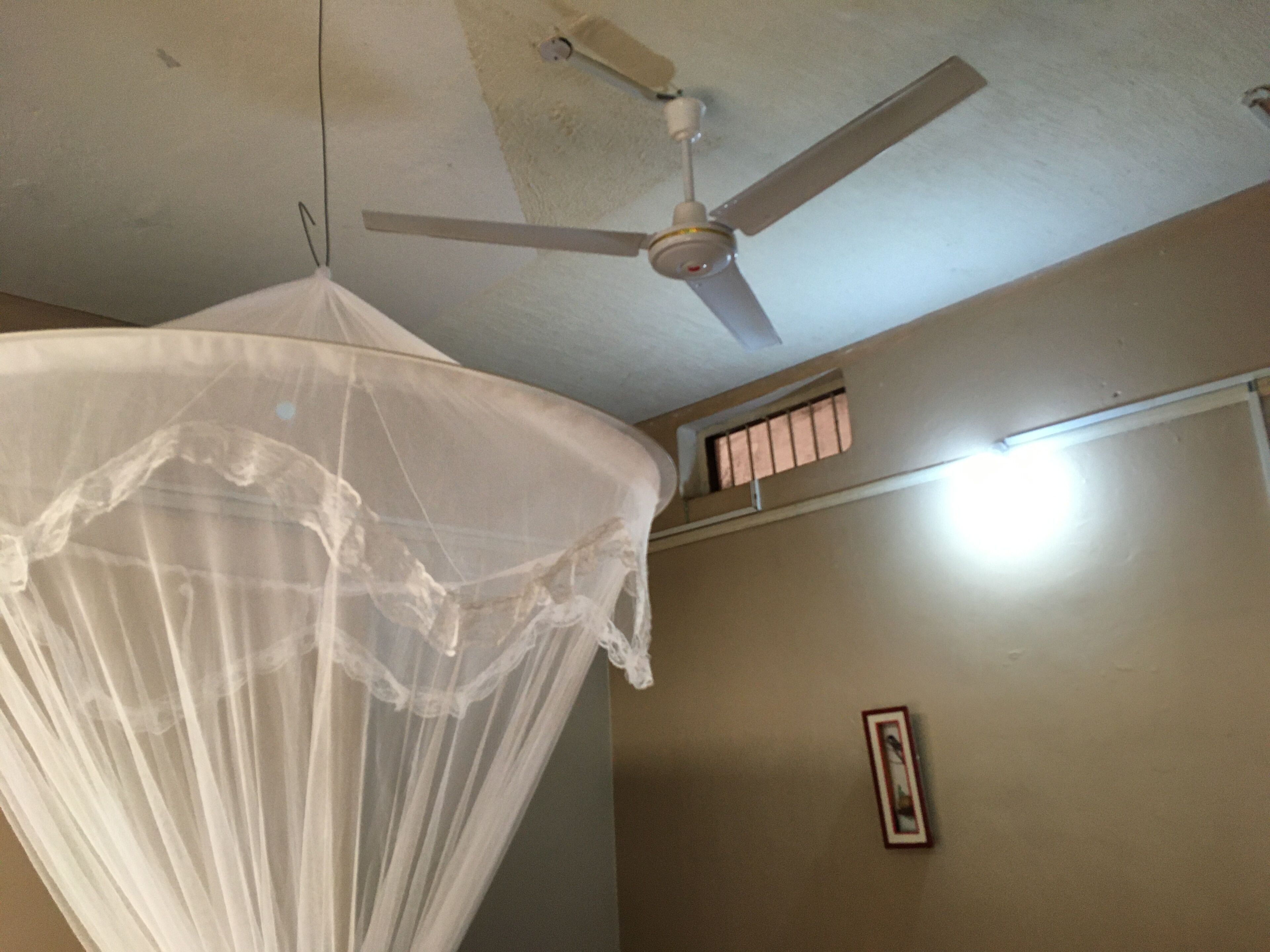 A room with a ceiling fan, a mosquito net, and a window with bars.