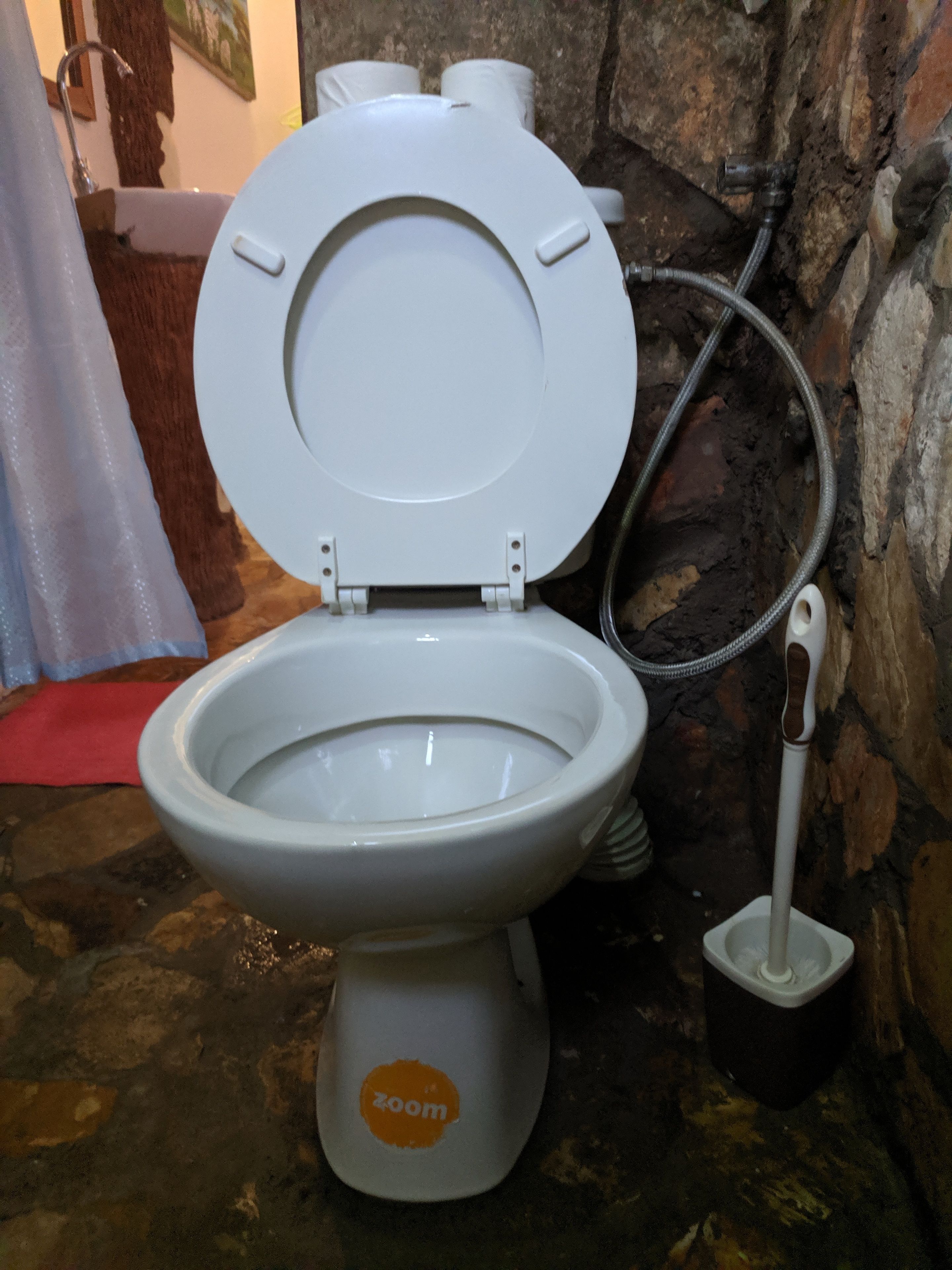 Des toilettes portant la mention « Zoom », un accessoire de type bidet et une petite brosse de nettoyage à main.