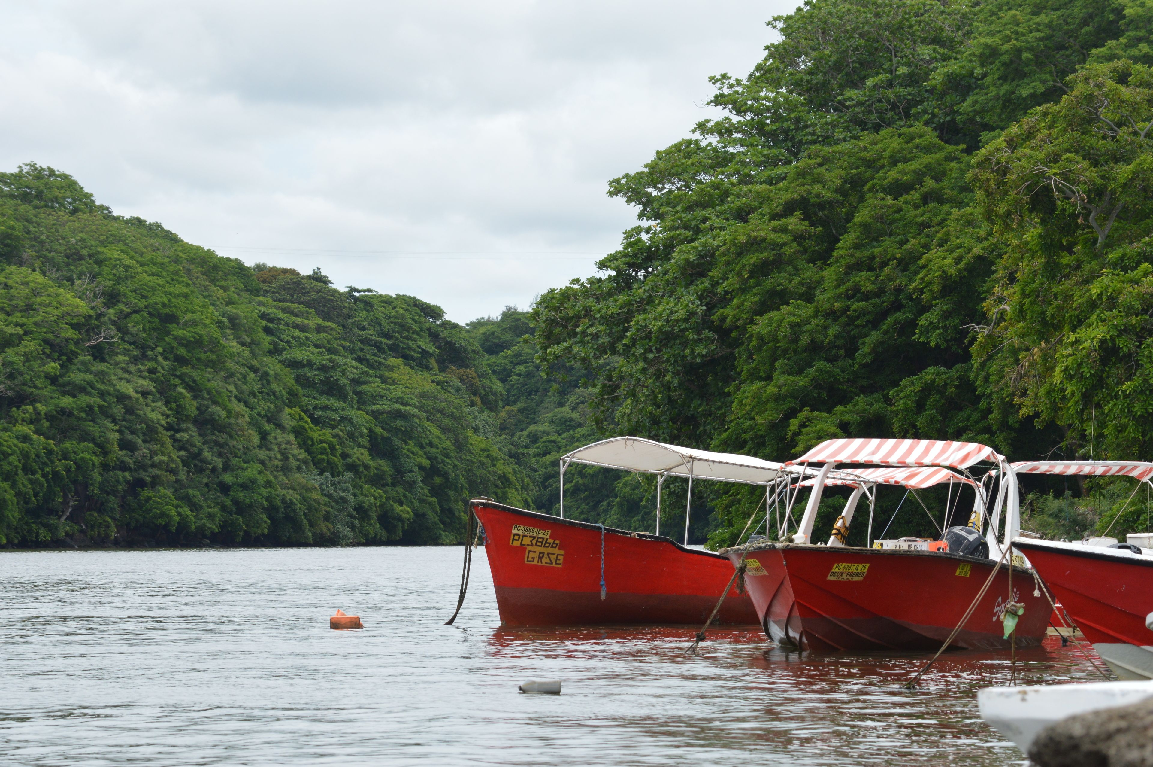 Two red boats with white canopies docked at a calm lake surrounded by dense green forest.