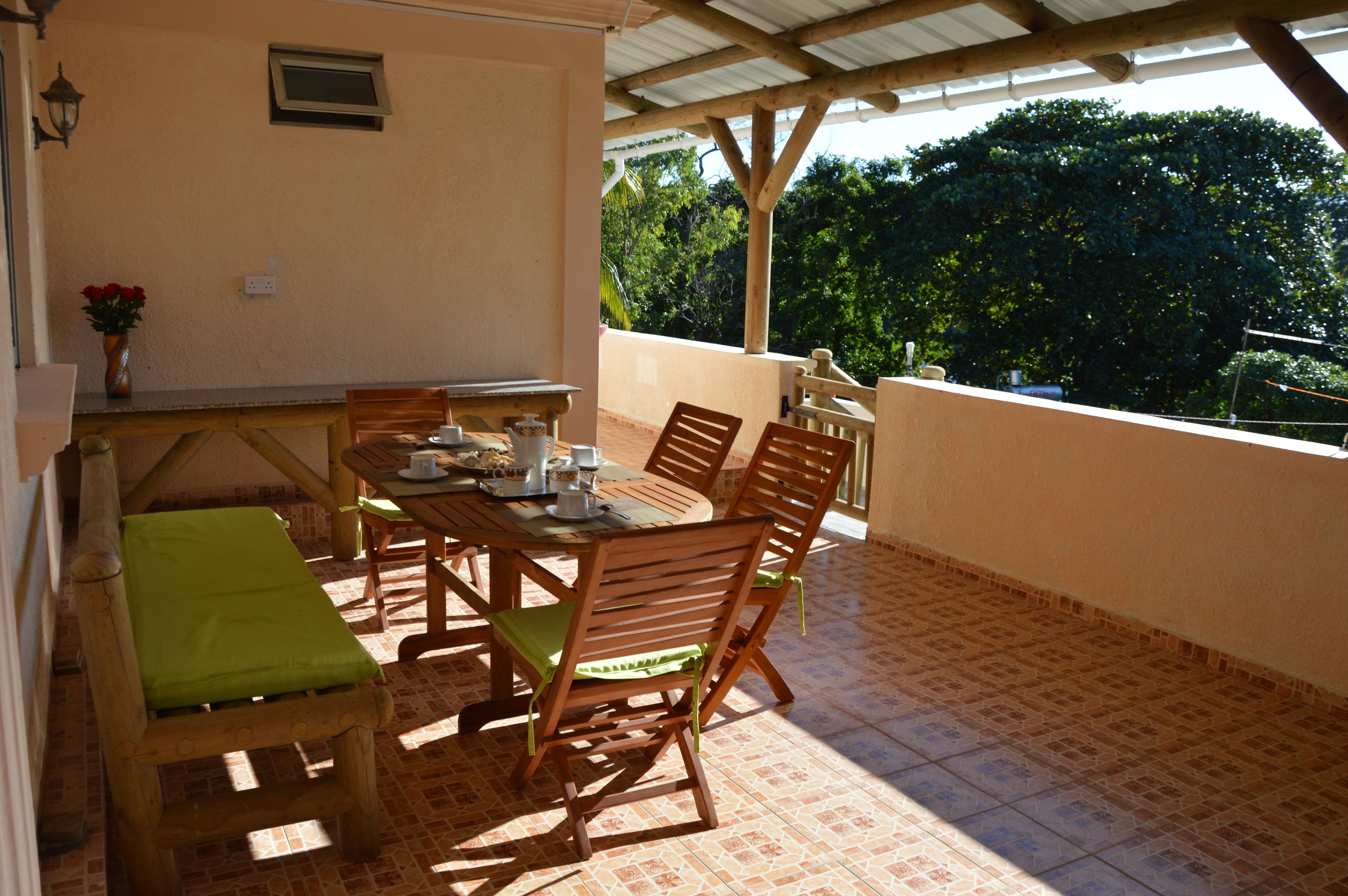 Appartement, 1 chambre, vue fleuve | Vue depuis le balcon
