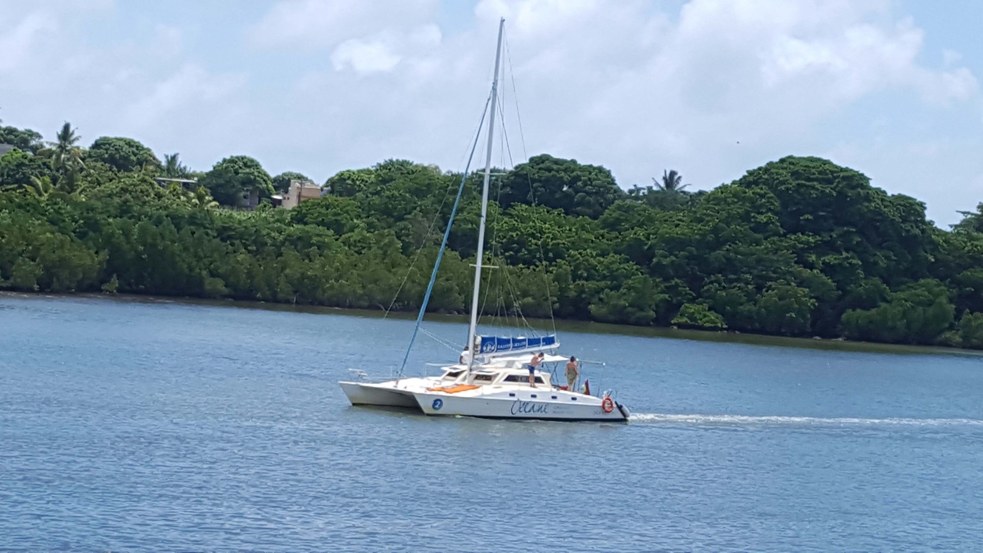 A sailboat on a calm body of water with a forested shoreline in the background.