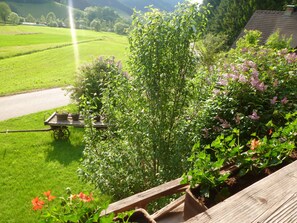 Exterior - Rommelehof (Gutach)