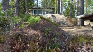 A natural outdoor area with a wooden bench, a large rock formation, and dense vegetation. - Salkolahti Tikkamaki (Orivesi)