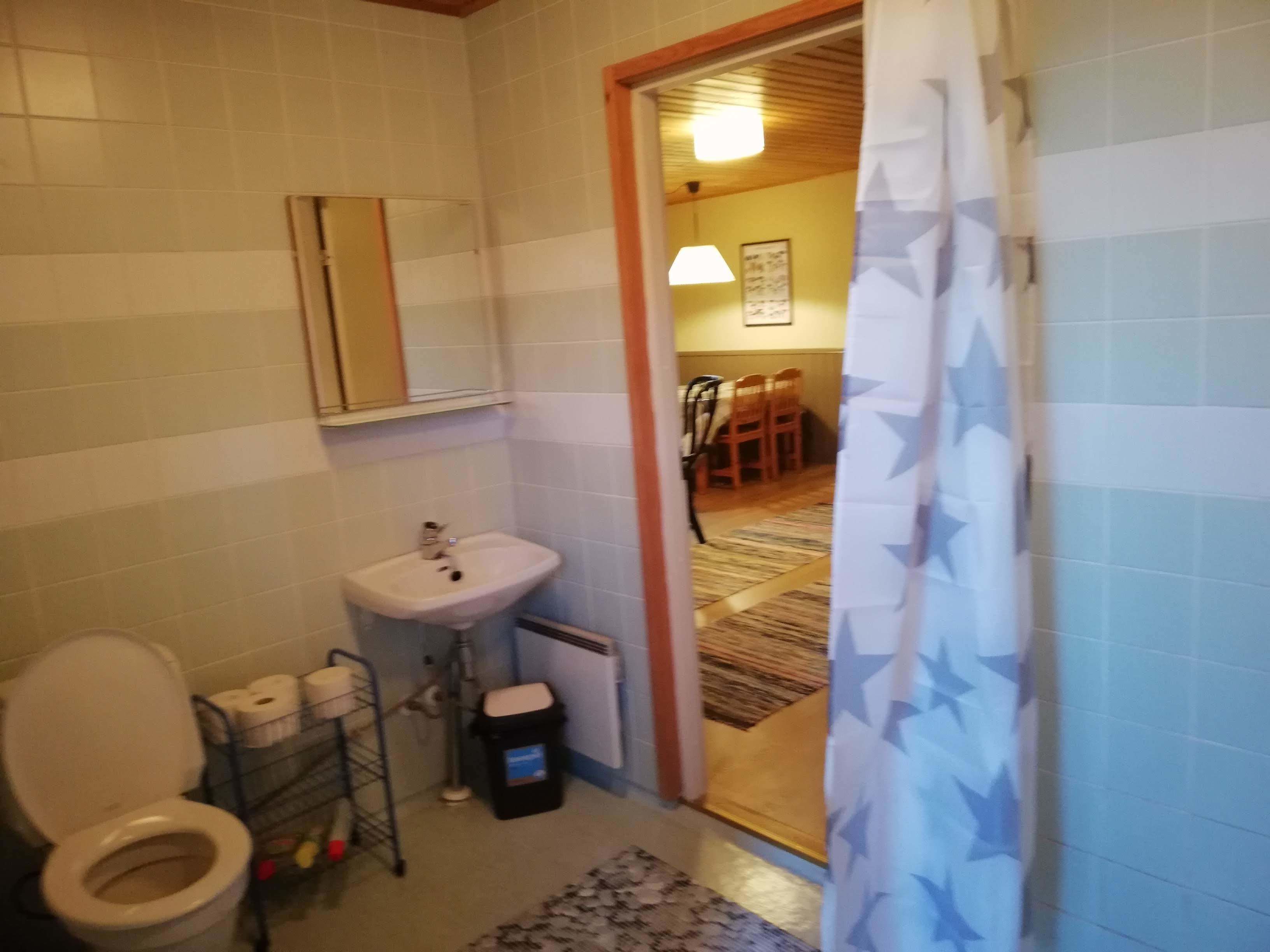 Un baño con inodoro, lavabo y espejo. Hay una cortina de ducha y una alfombra en el suelo.
