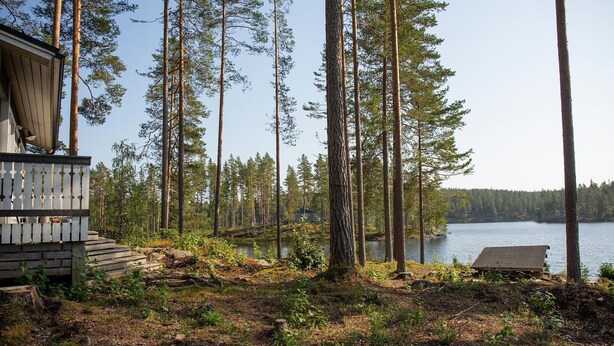 A cabin with a deck overlooking a lake, surrounded by tall pine trees. - Salkolahti Huvikumpu (Orivesi)
