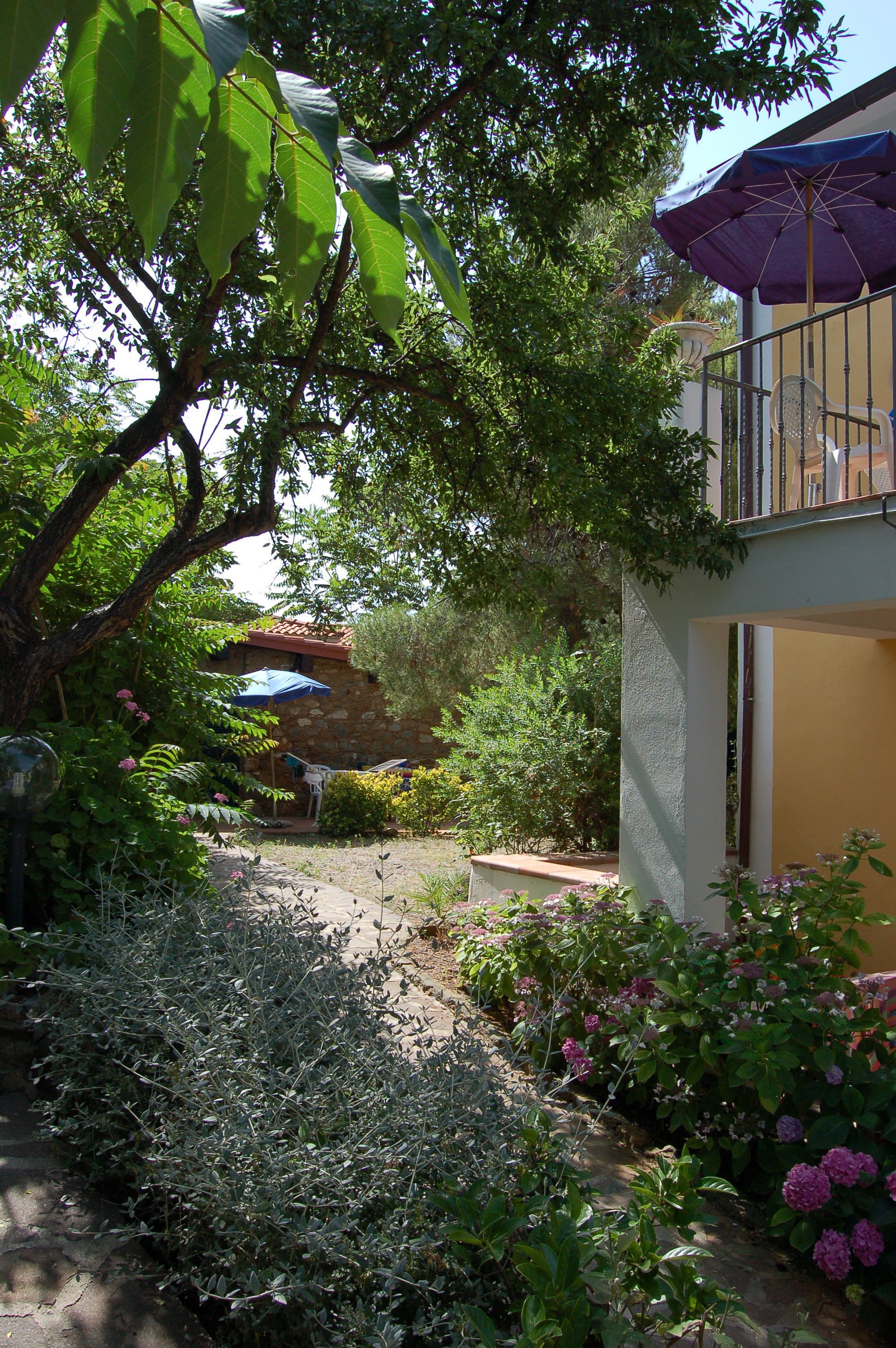 Studio, Kitchenette, Ground Floor | View from room