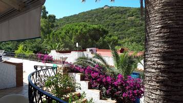 Departamento clásico, 1 habitación, cocineta, mezzanine | Terraza o patio