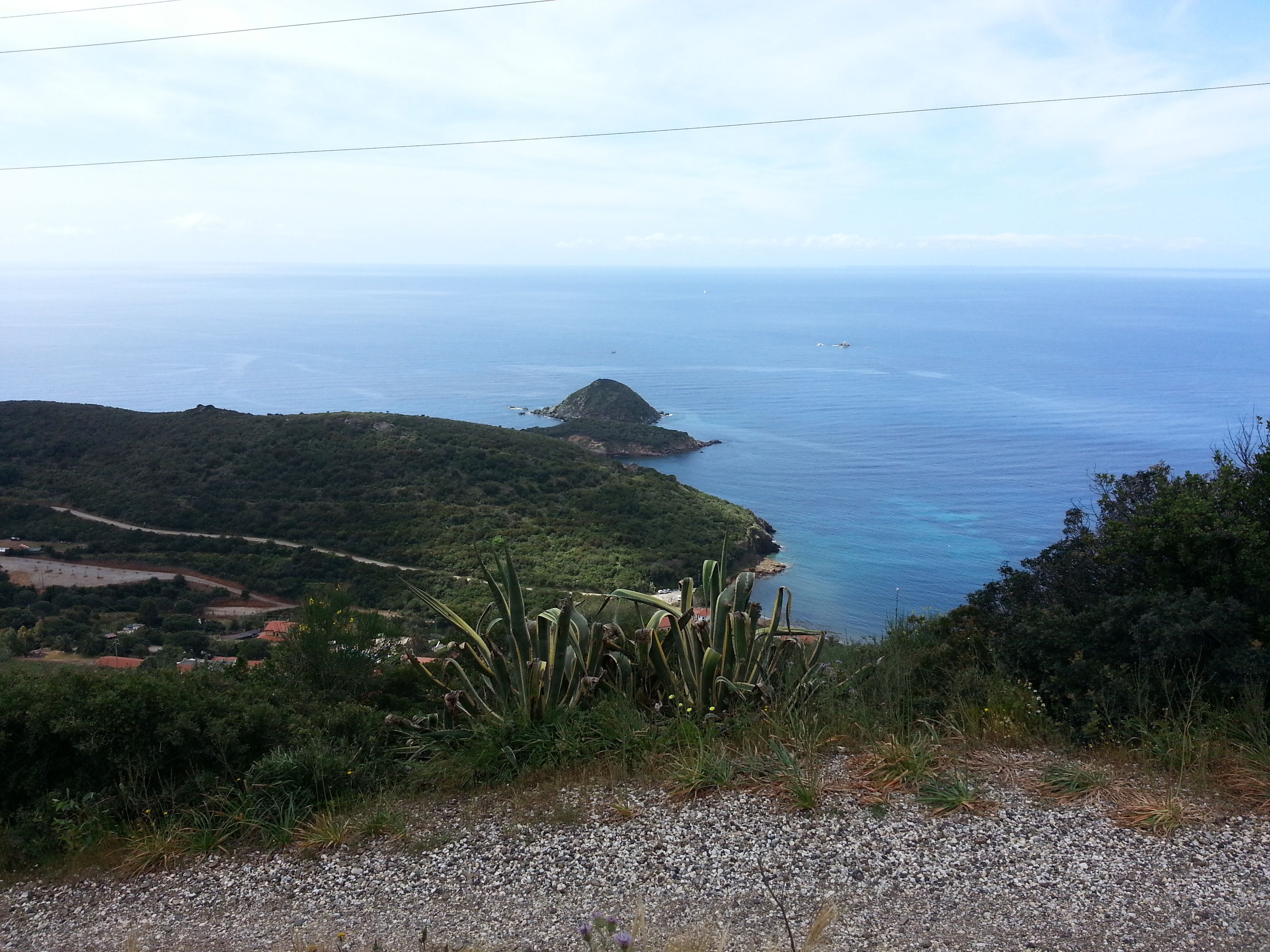 Un paisaje costero con una carretera, vegetación y una vista distante del mar.