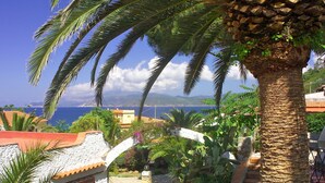 Un giardino con palme, un vialetto e vista sul mare.