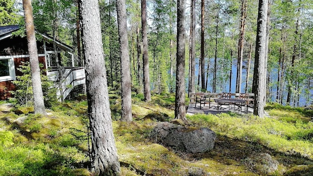 A forested area with a wooden cabin and a dock extending into a lake. - Salkolahti Minttu (Orivesi)