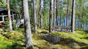 A forested area with a wooden cabin and a dock extending into a lake. - Salkolahti Minttu (Orivesi)