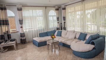 49-inch LCD TV with satellite channels, TV, DVD player