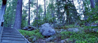 Salkolahti Tontti