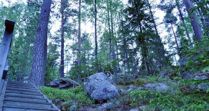 Salkolahti Tontti
