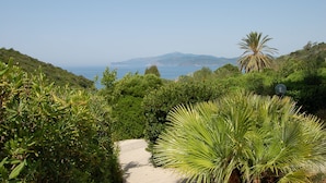 A pathway leading to a coastal area with lush greenery and a view of the sea and distant mountains. - Villaggio Innamorata - Villa Gisella (Capoliveri)