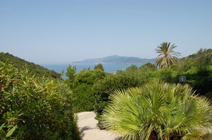 Panoramic Apartment, 1 Bedroom, Kitchenette, Ground Floor | View from room - Villaggio Innamorata - Villa Gisella (Capoliveri)