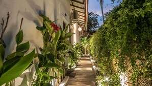 A pathway lined with plants and a palm tree in the background. - Luaya Beach (Tangalle)