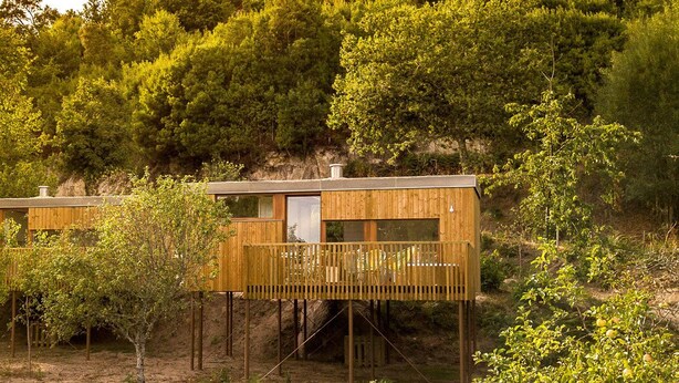 Two wooden cabins elevated on stilts, surrounded by dense trees. - Aloia Nature Alojamiento Forestal (Tui)