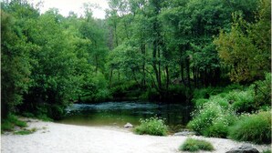 Un río rodeado de densa vegetación y una playa arenosa.