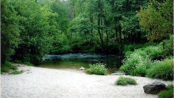 Esterni