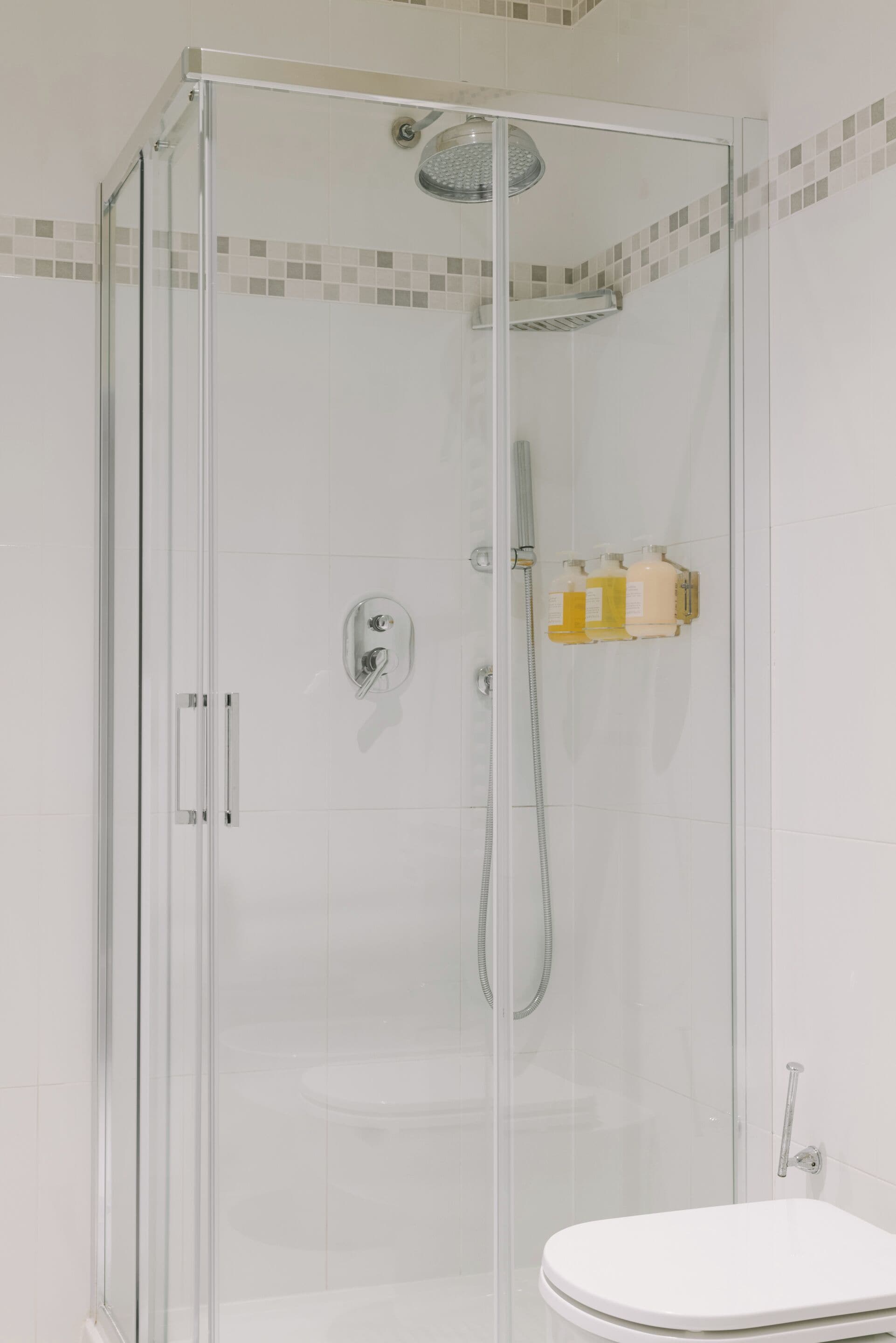 A glass-enclosed shower stall with a handheld showerhead, a wall-mounted soap dispenser, and a toilet visible to the right.