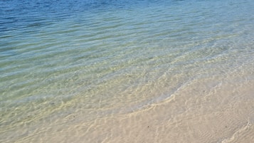 Plage à proximité