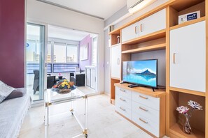 Televisie, een open haard, een dvd-speler en een stereo