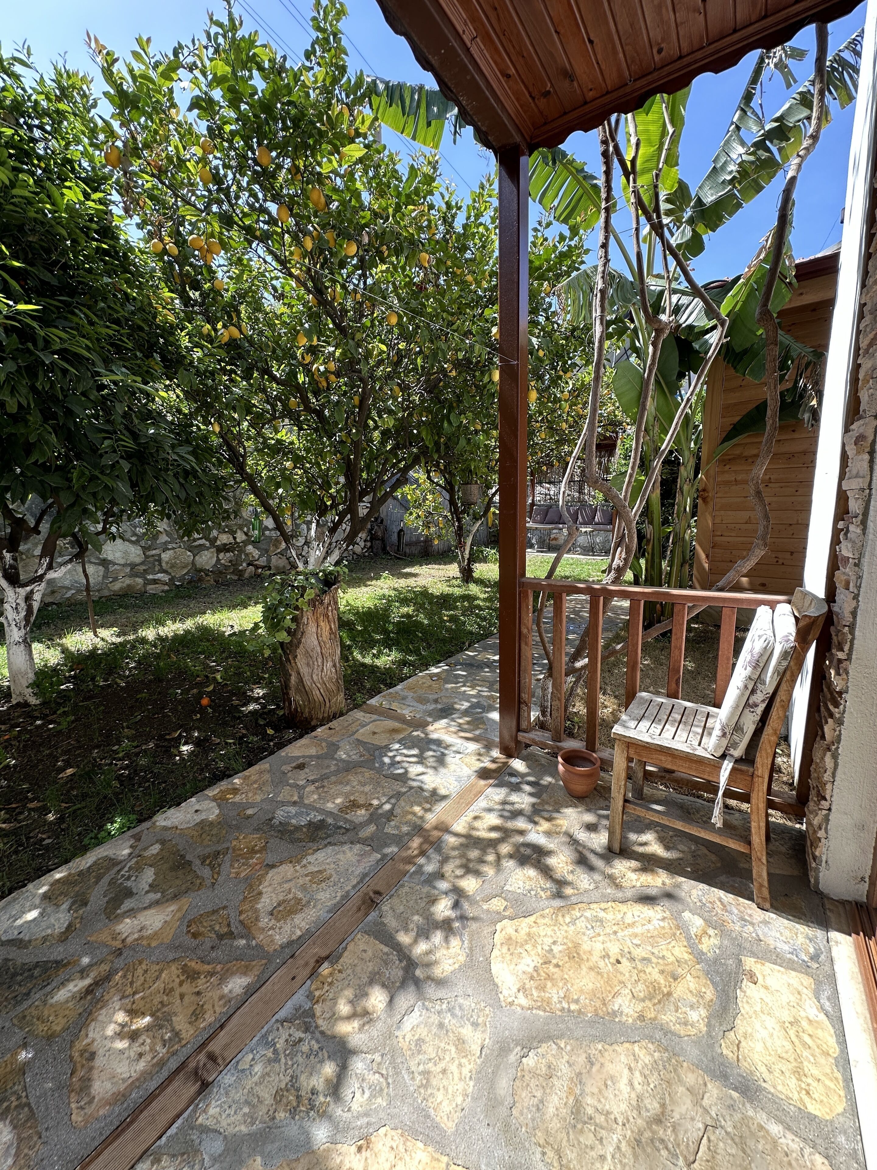Un patio empedrado con un banco de madera y una maceta colgante.