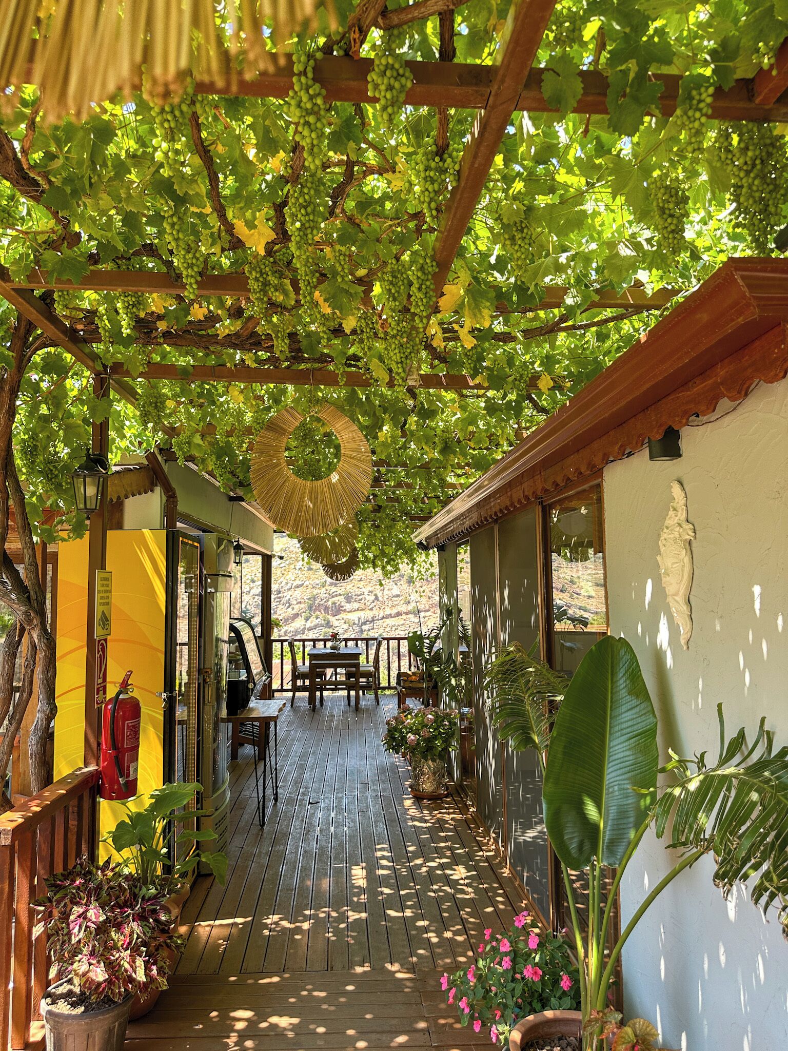 Terrace/patio