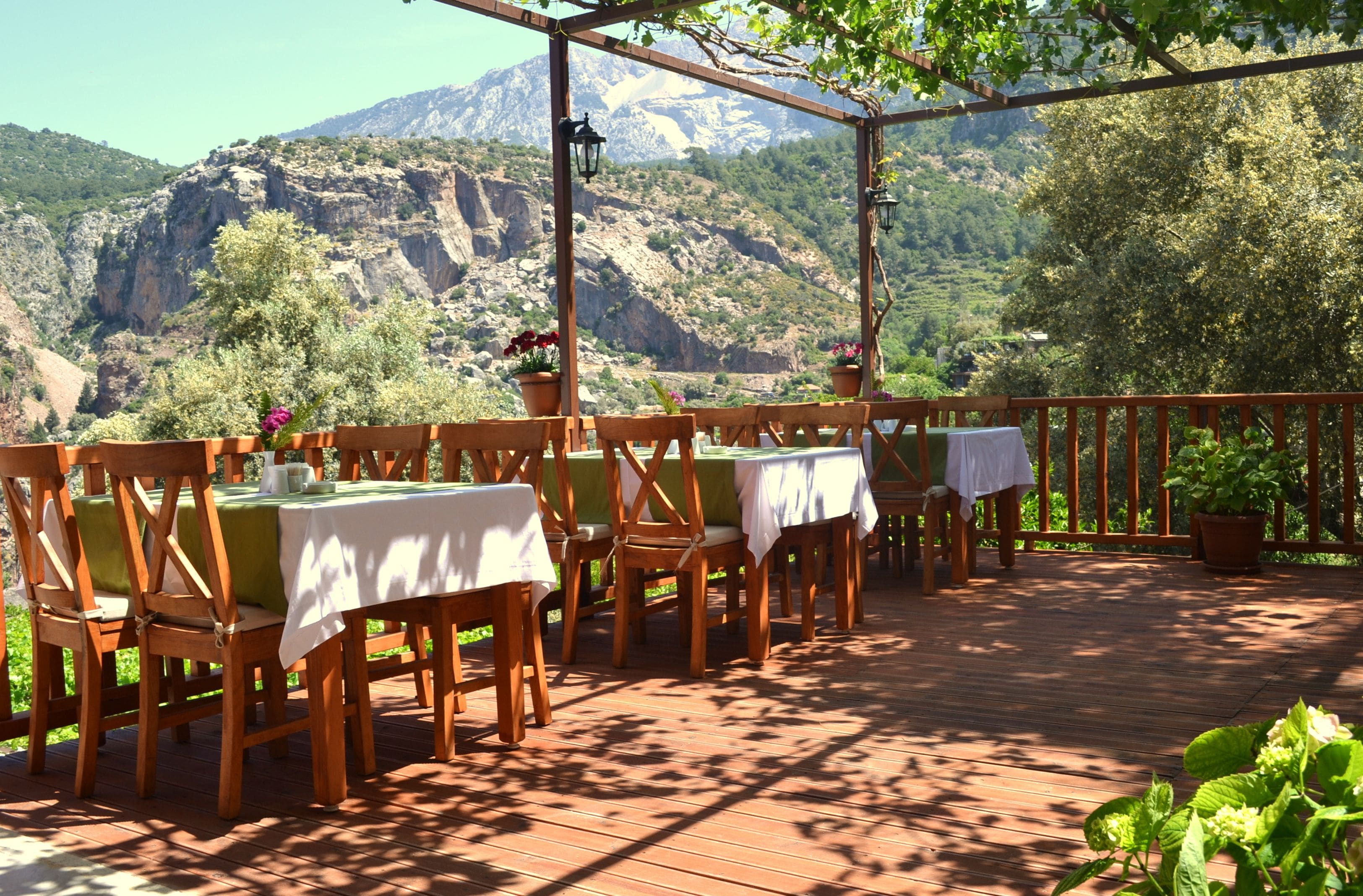 breakfast, lunch and dinner served