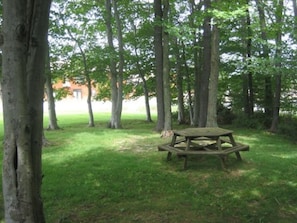 Una mesa de picnic en un área boscosa con árboles y césped.