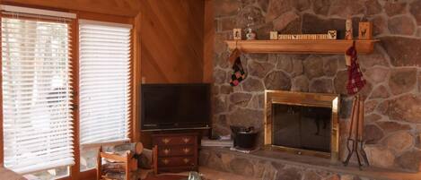 Télévision, cheminée, lecteur de DVD