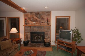 TV, fireplace, DVD player